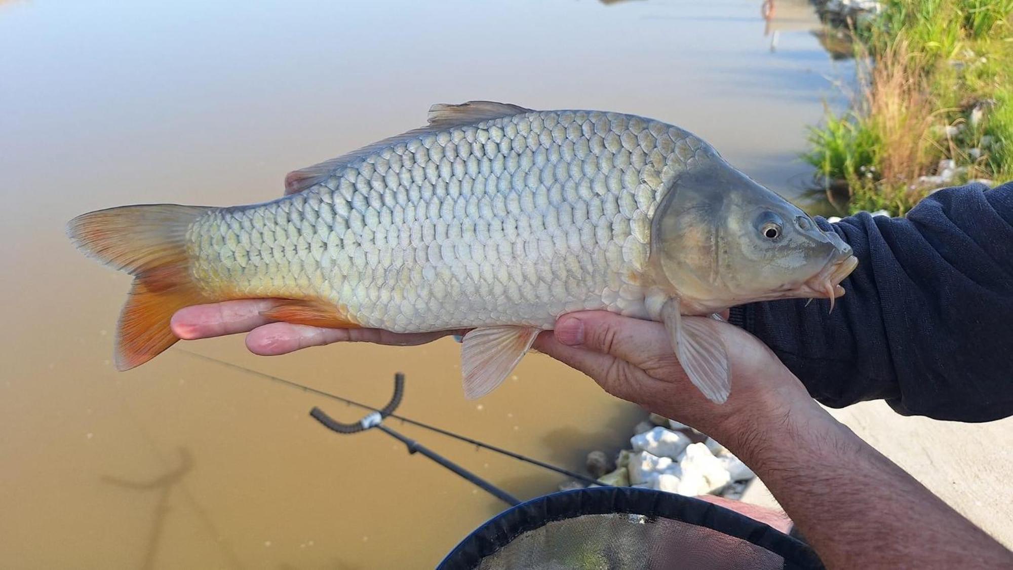 Lakeside Fishing Retreats Boston Cameră foto