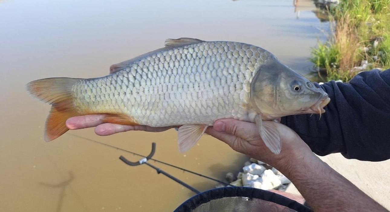 Lakeside Fishing Retreats Boston Cameră foto