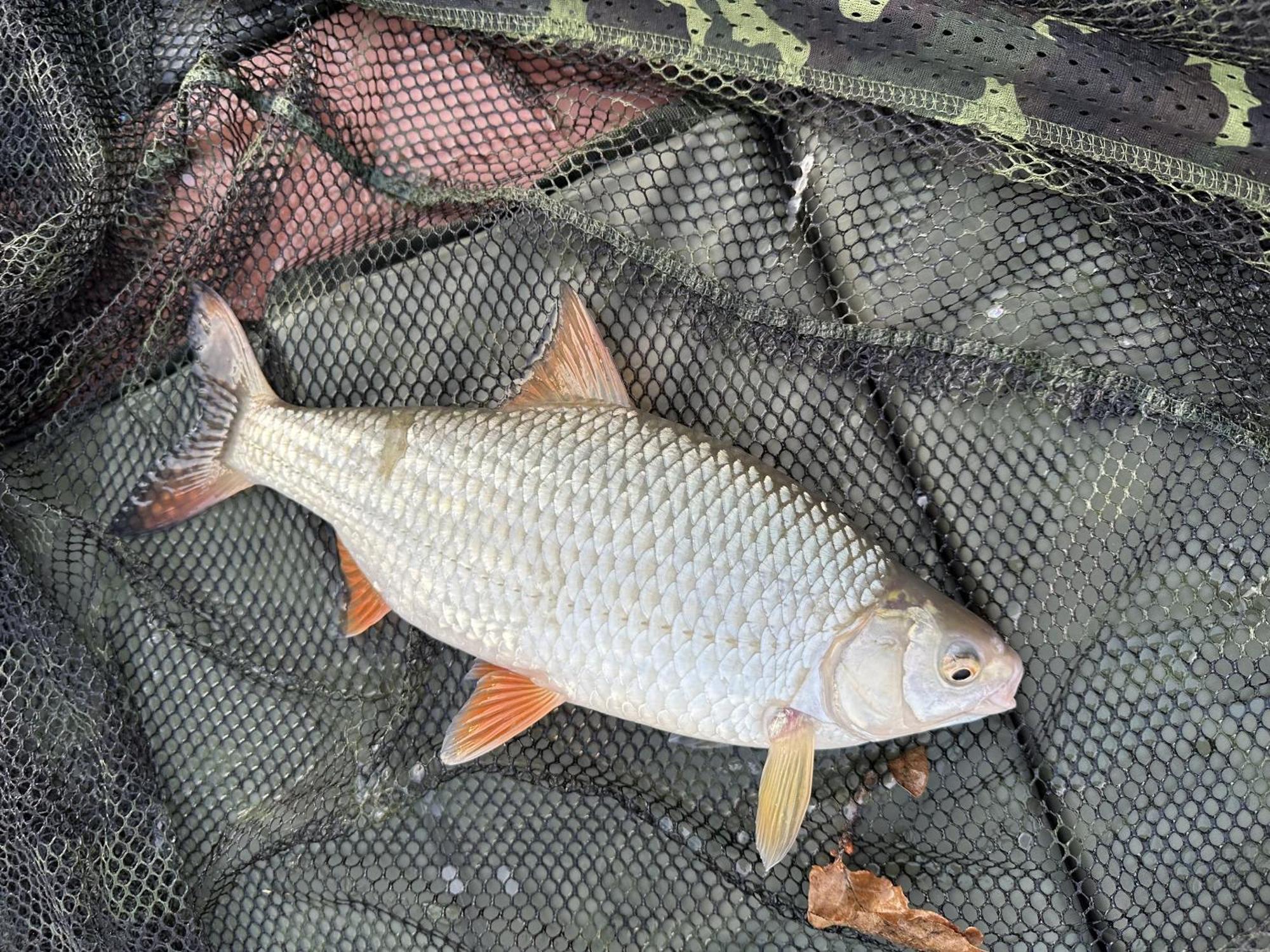 Lakeside Fishing Retreats Boston Cameră foto